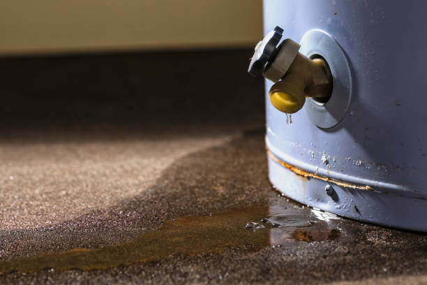  Lakeville, MN Water damage restoration Pros