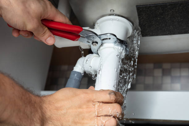 Best Water damage cleanup near me  in Lakeville, MN