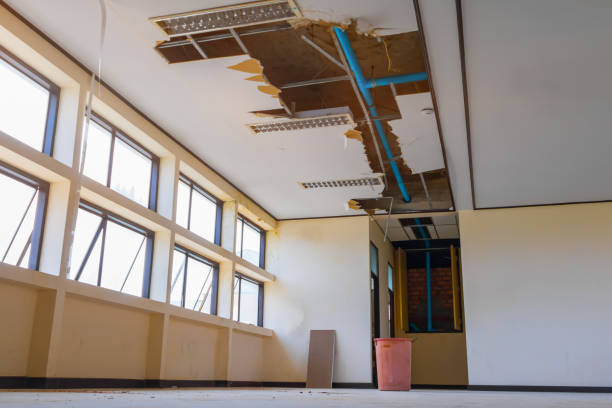 Best Flood damage cleanup  in Lakeville, MN
