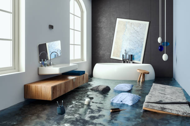 Best Professional water damage repair  in Lakeville, MN