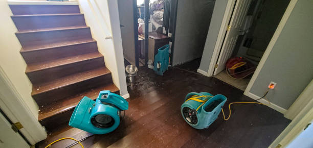 Best 24/7 water damage repair  in Lakeville, MN