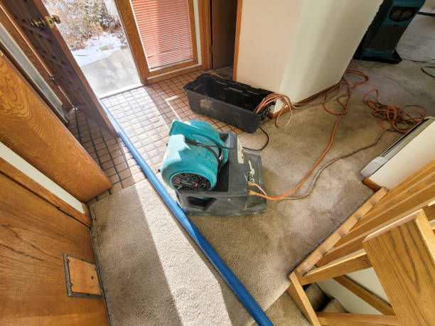Best Local water damage restoration  in Lakeville, MN