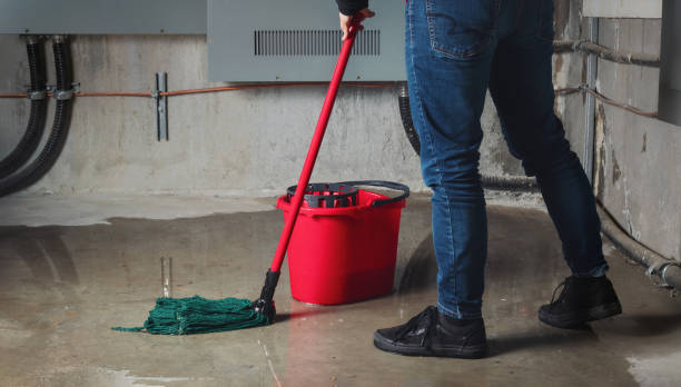 Reliable Lakeville, MN Water damage restoration Solutions