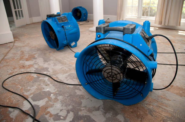 Best Water damage restoration mold remediation  in Lakeville, MN
