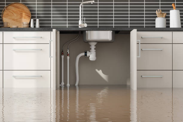 Fire Damage Restoration in Lakeville, MN