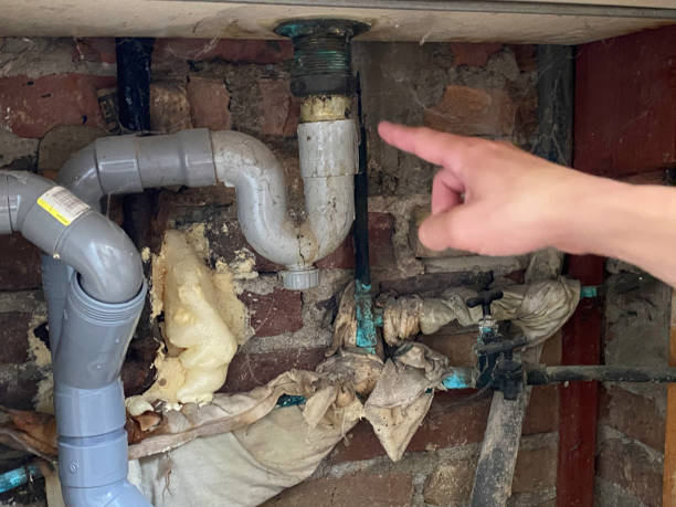 Best Sewage cleanup and water damage restoration  in Lakeville, MN