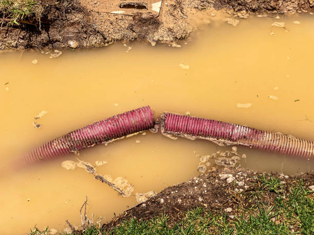 Best Water damage mitigation services  in Lakeville, MN