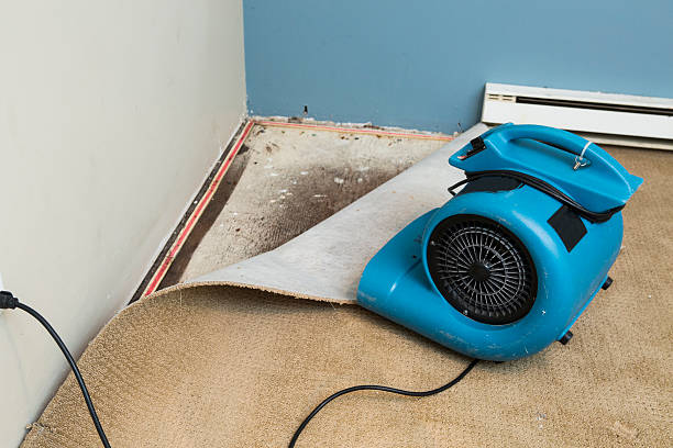 Best Emergency water damage restoration  in Lakeville, MN