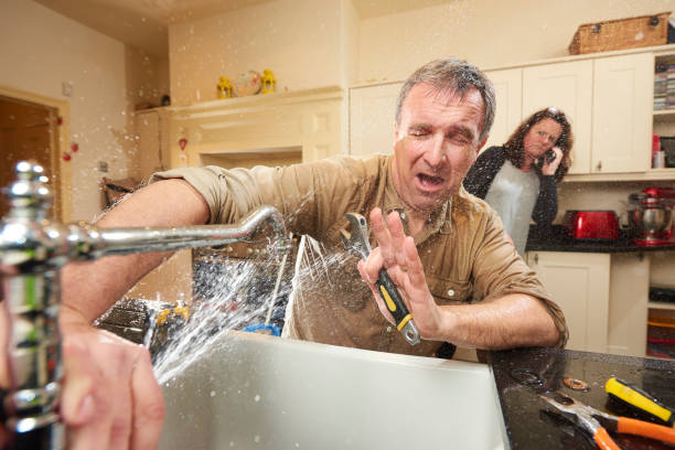 Best Flood damage cleanup  in Lakeville, MN